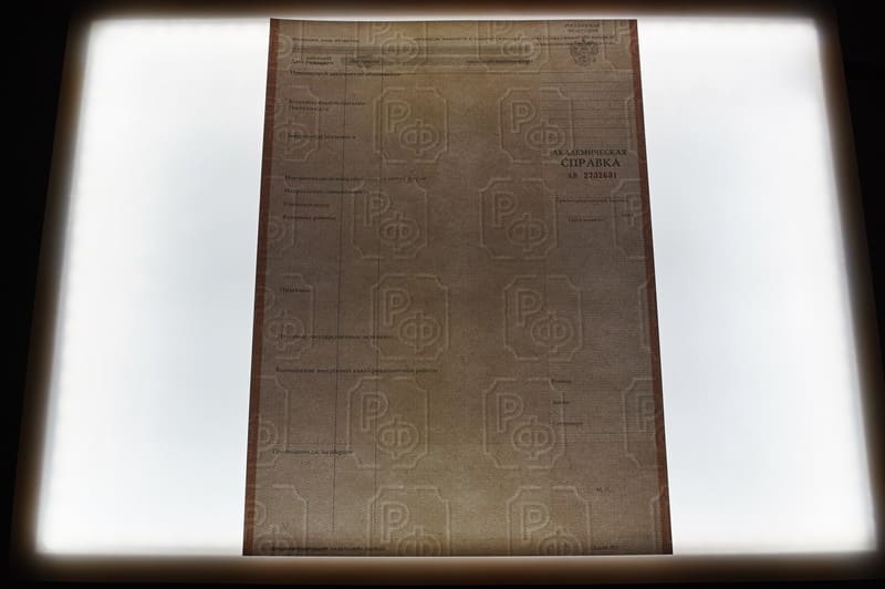 Купить Академическая справка 2010-2011 года в Новосибирске