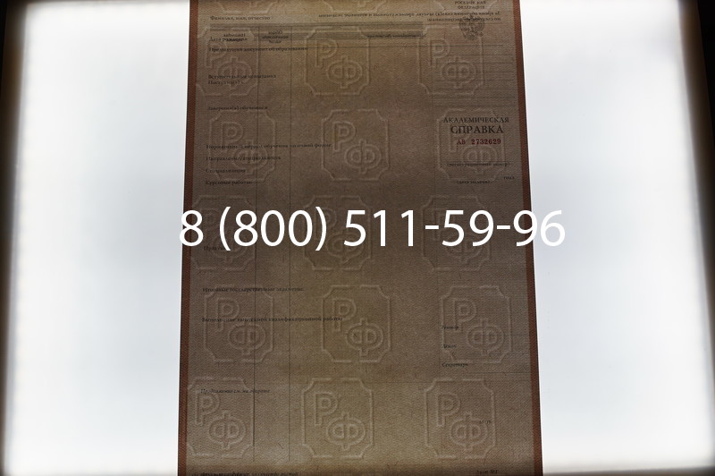 Купить Академическая справка 1996-2009 года в Новосибирске