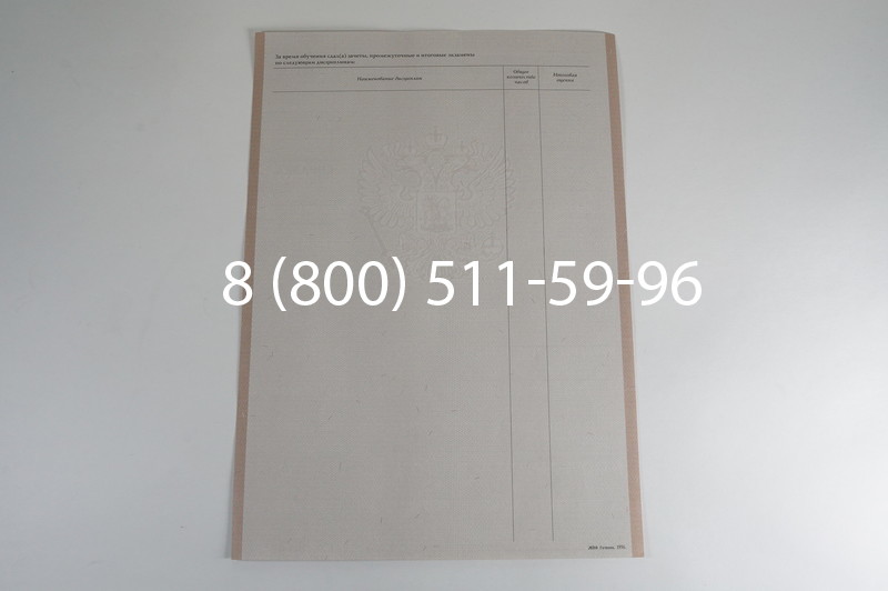 Заказать Академическая справка 1996-2009 года в Новосибирске