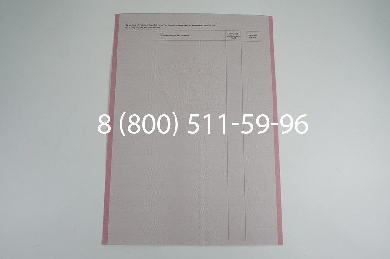 Заказать Академическая справка образца 1996-2009 год для колледжа в Новосибирске