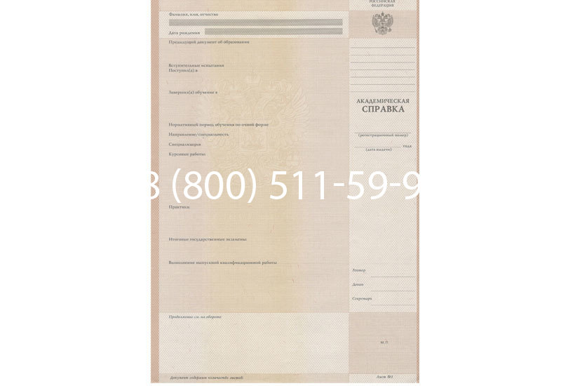 Купить Академическая справка 1996-2009 года в Новосибирске