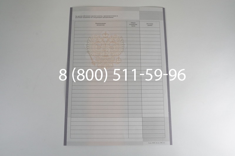 Заказать Академическая справка образца 2010-2011 год для колледжа в Новосибирске