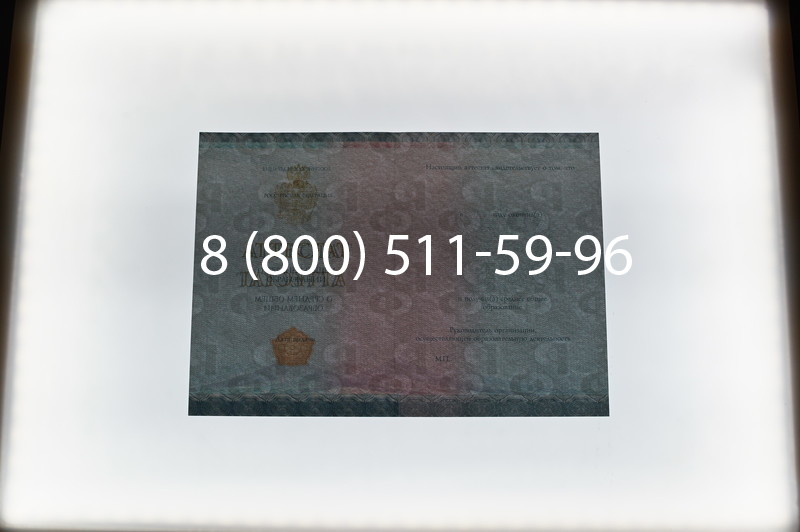 Купить Аттестат вечерней школы в Новосибирске