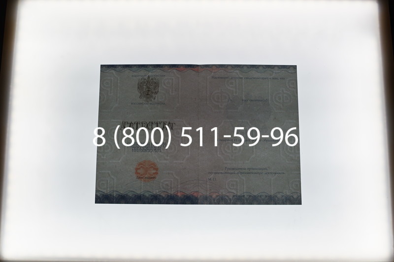 Купить Аттестат за 11 класс 2014-2026 года в Новосибирске