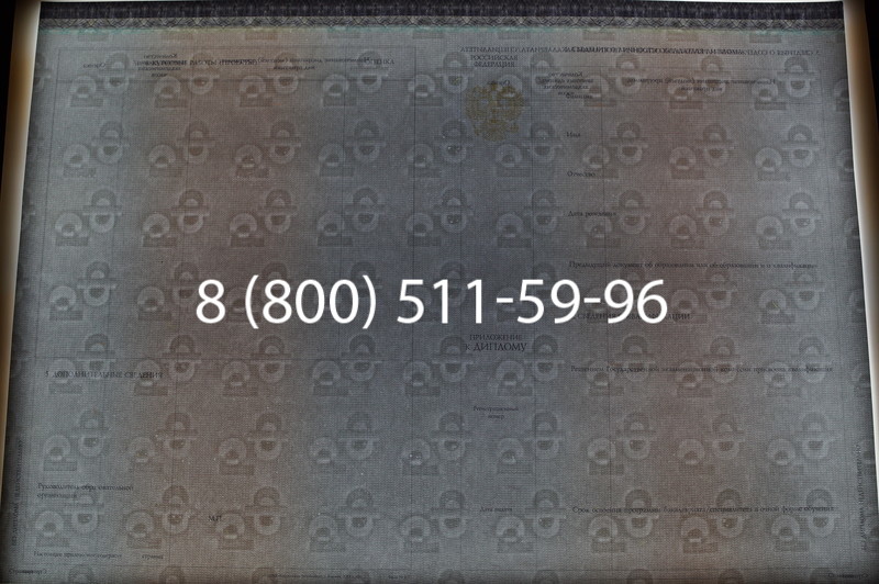 Заказать Диплом бакалавра (Киржач) 2014-2026 года в Новосибирске