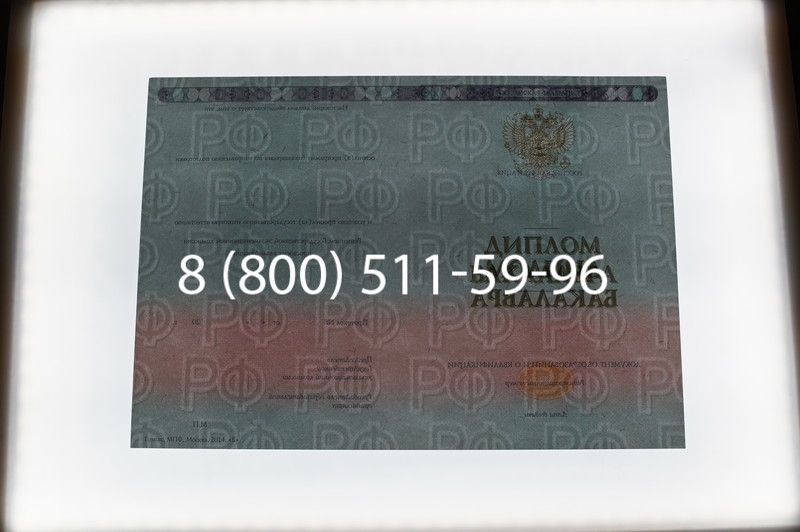 Заказать Диплом бакалавра 2014-2026 года в Новосибирске