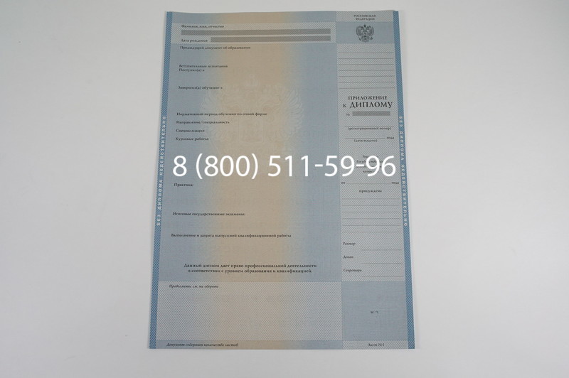 Заказать Диплом бакалавра 1997-2002 годов в Новосибирске