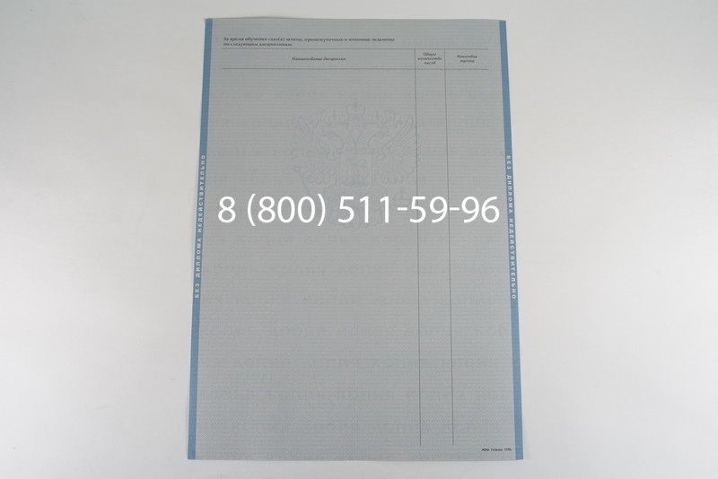 Диплом бакалавра 2003-2009 годов в Новосибирске