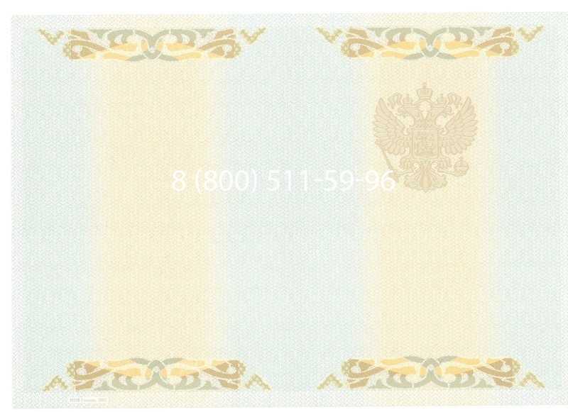 Купить Диплом бакалавра 2003-2009 годов в Новосибирске