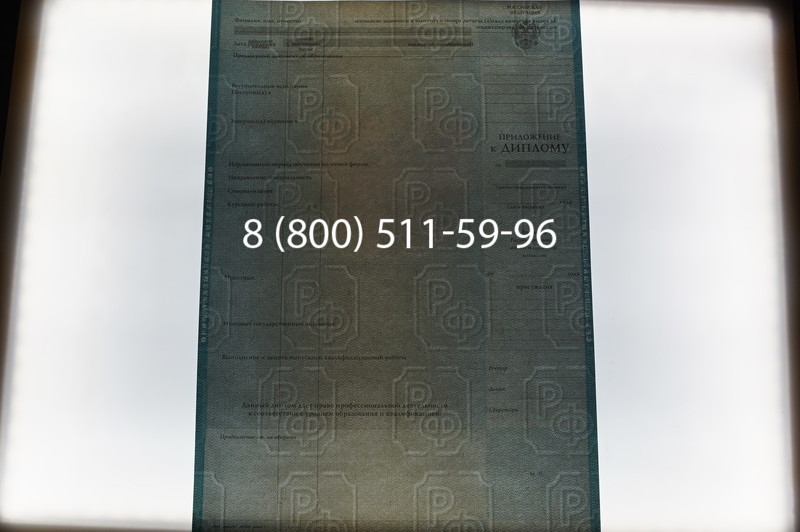 Заказать Диплом бакалавра 2003-2009 годов в Новосибирске
