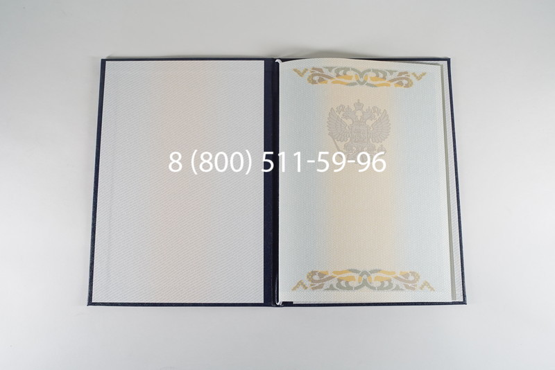 Диплом бакалавра 2003-2009 годов в Новосибирске