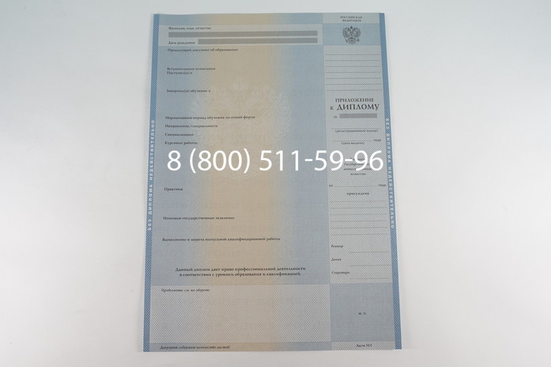 Диплом бакалавра 2003-2009 годов в Новосибирске