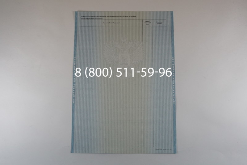 Диплом бакалавра 2012-2013 годов в Новосибирске