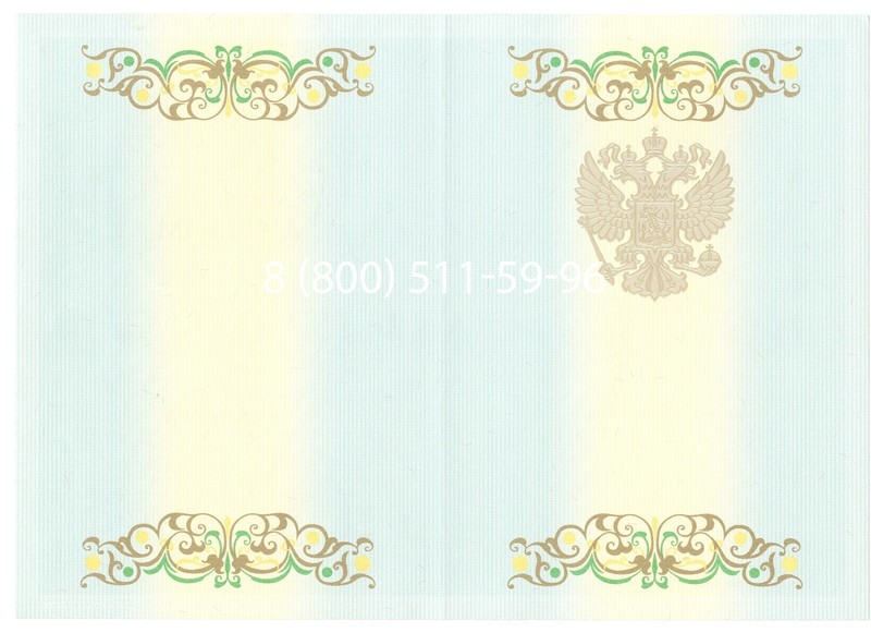 Купить Диплом бакалавра 2012-2013 годов в Новосибирске