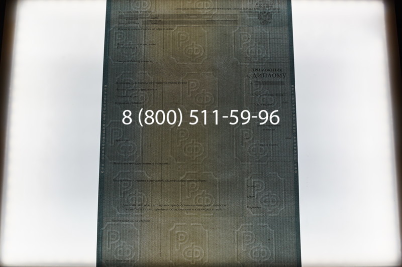 Заказать Диплом бакалавра 2012-2013 годов в Новосибирске