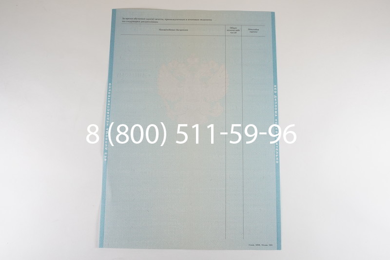 Диплом бакалавра 2010-2011 годов в Новосибирске