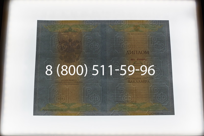 Заказать Диплом бакалавра 2010-2011 годов в Новосибирске