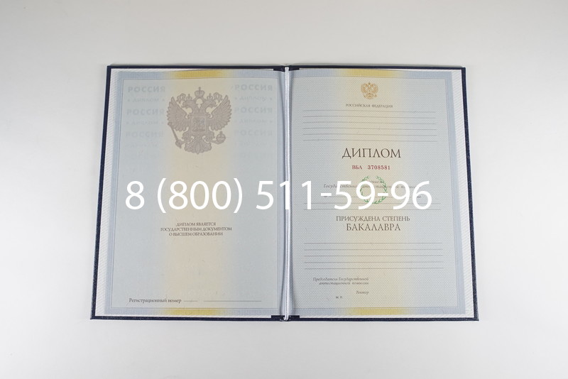 Диплом бакалавра 2010-2011 годов в Новосибирске