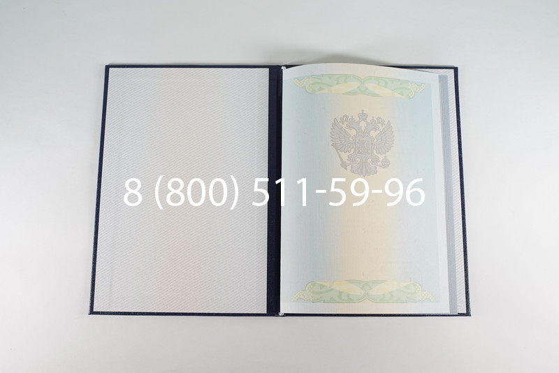 Диплом бакалавра 2010-2011 годов в Новосибирске