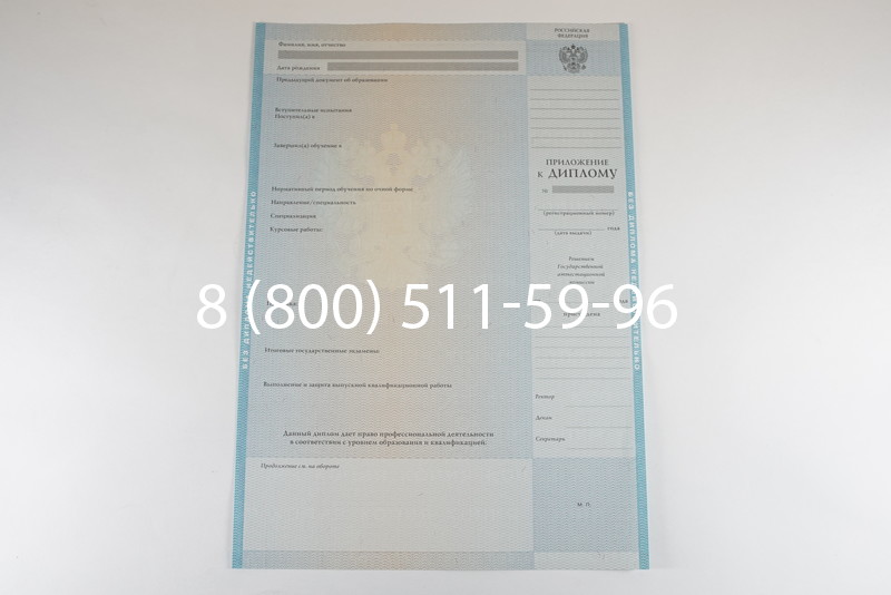 Диплом бакалавра 2010-2011 годов в Новосибирске