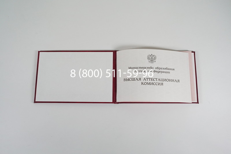 Диплом доктора наук 1995-2006 года в Новосибирске