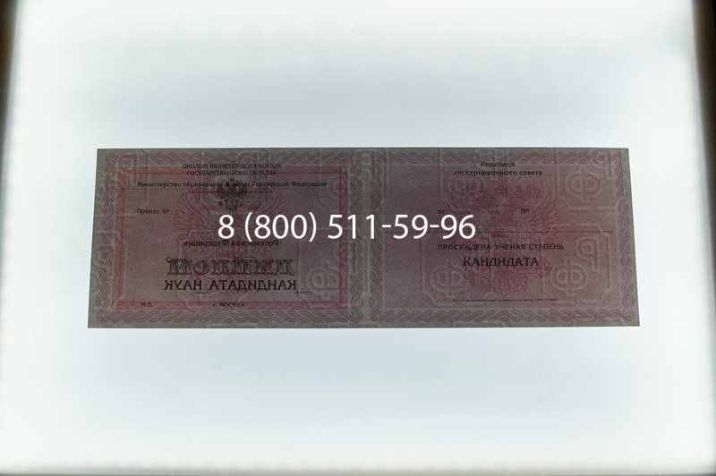 Заказать Диплом кандидата наук 2010 в Новосибирске
