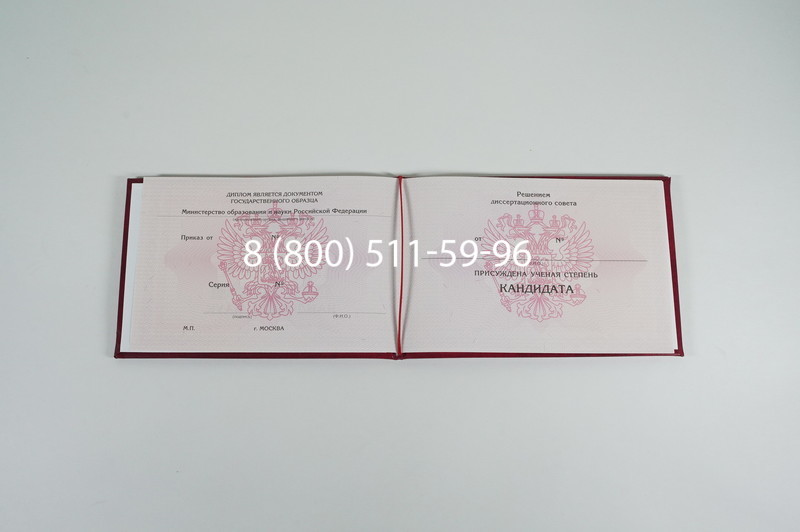 Заказать Диплом кандидата наук 2010 в Новосибирске