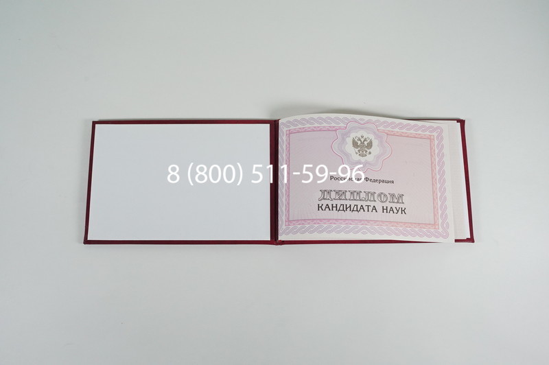Заказать Диплом кандидата наук 2010 в Новосибирске
