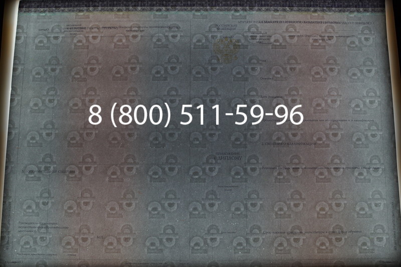 Заказать Диплом магистра (КИРЖАЧ) 2014-2026годов в Новосибирске