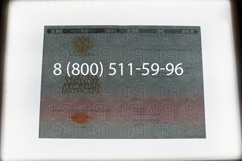 Заказать Диплом магистра 2014-2026 года в Новосибирске