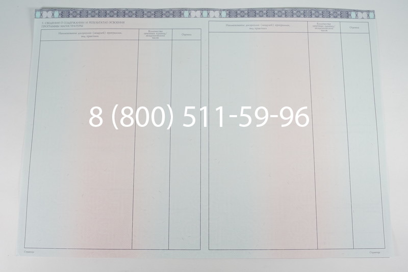 Диплом магистра 2014-2026 года в Новосибирске