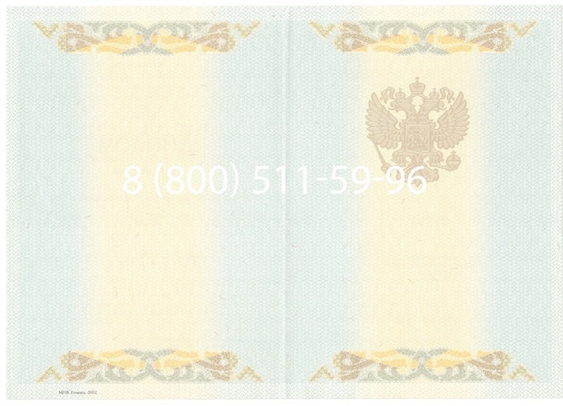 Купить Диплом магистра 2003-2009 годов в Новосибирске