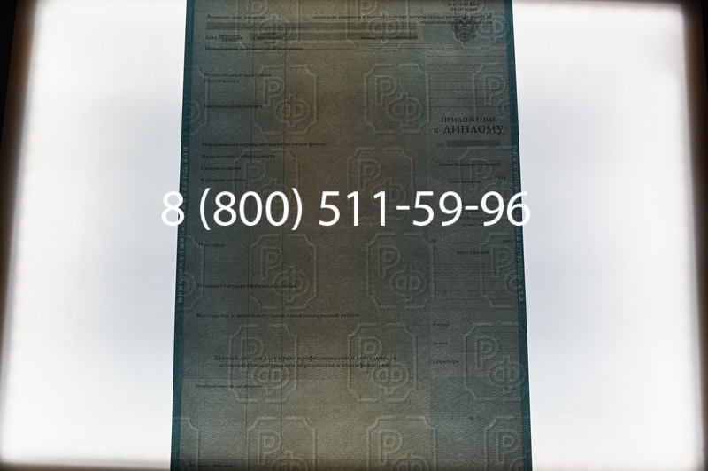 Заказать Диплом магистра 2003-2009 годов в Новосибирске