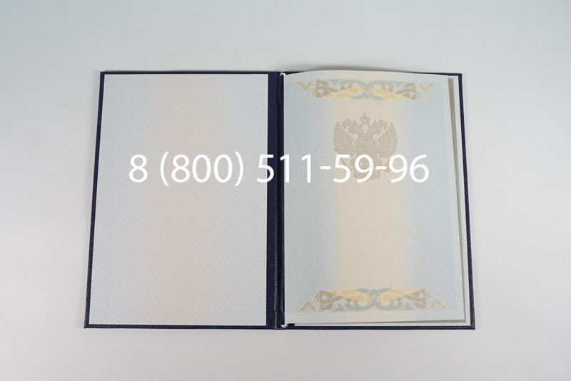 Диплом магистра 2003-2009 годов в Новосибирске