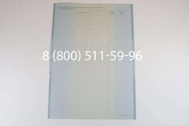 Диплом магистра 2012-2013 годов в Новосибирске