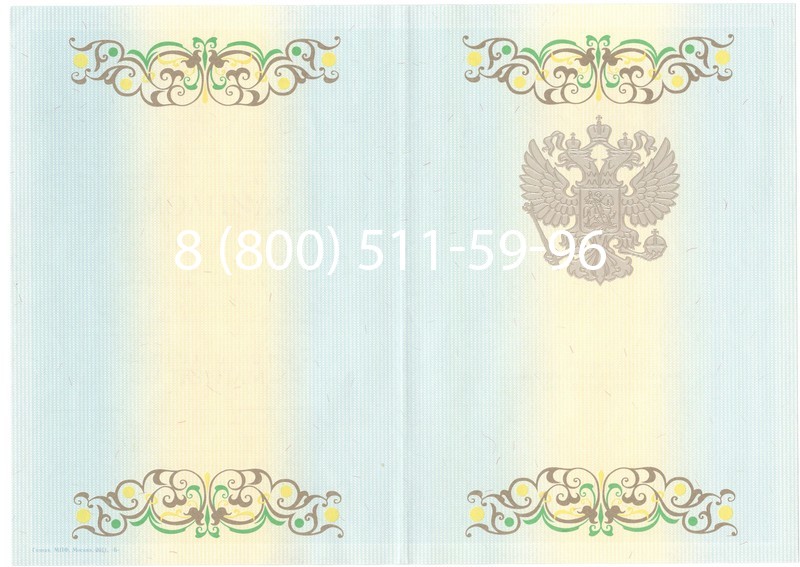 Заказать Диплом магистра 2012-2013 годов в Новосибирске