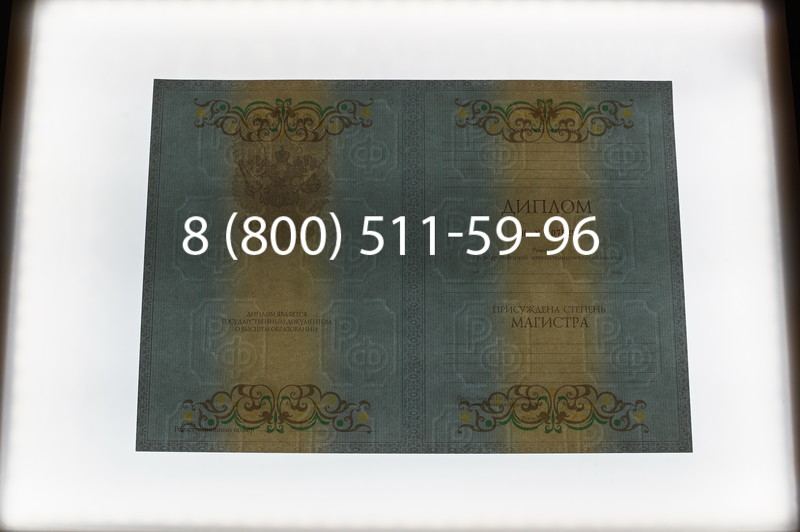 Заказать Диплом магистра 2012-2013 годов в Новосибирске