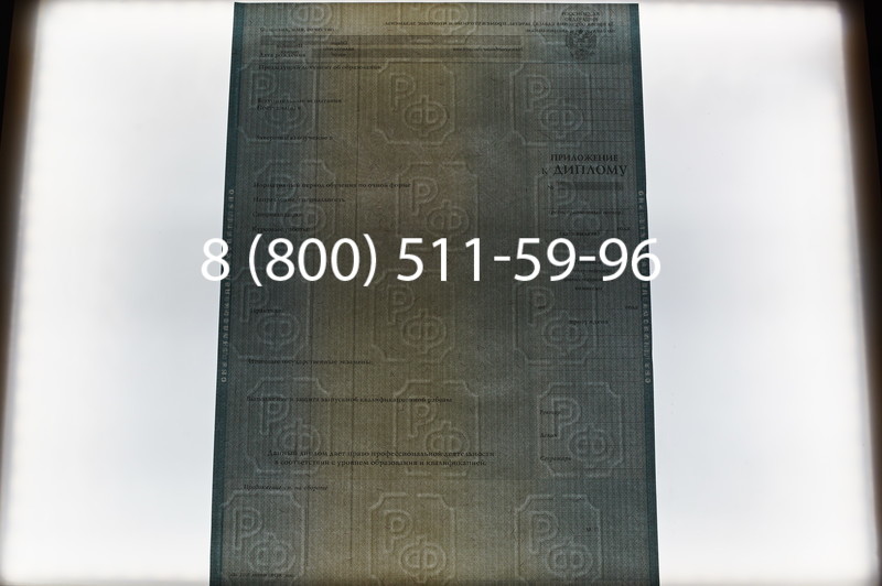 Заказать Диплом магистра 2012-2013 годов в Новосибирске