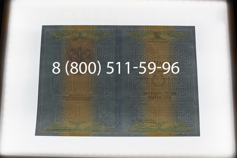 Заказать Диплом магистра 2010-2011 годов в Новосибирске