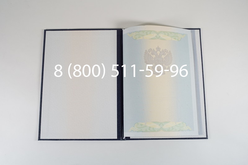 Диплом магистра 2010-2011 годов в Новосибирске