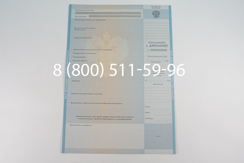 Диплом магистра 2010-2011 годов в Новосибирске