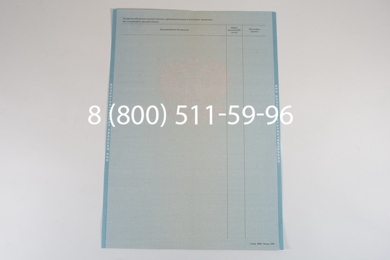 Диплом магистра 2010-2011 годов в Новосибирске