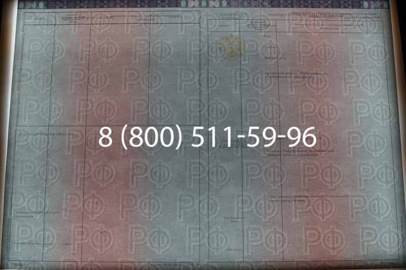 Заказать Диплом о высшем образовании 2014-2026 годов в Новосибирске