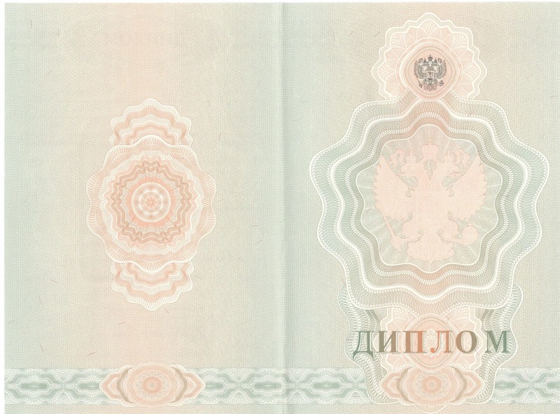 Купить Диплом о начальном образовании  2007-2009 годов в Новосибирске