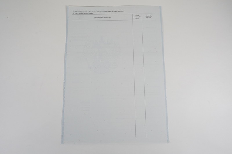 Диплом о начальном образовании  2007-2009 годов в Новосибирске