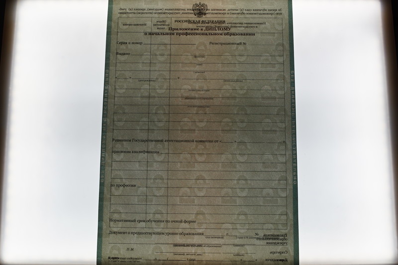 Заказать Диплом о начальном образовании  2010-2026 годов в Новосибирске