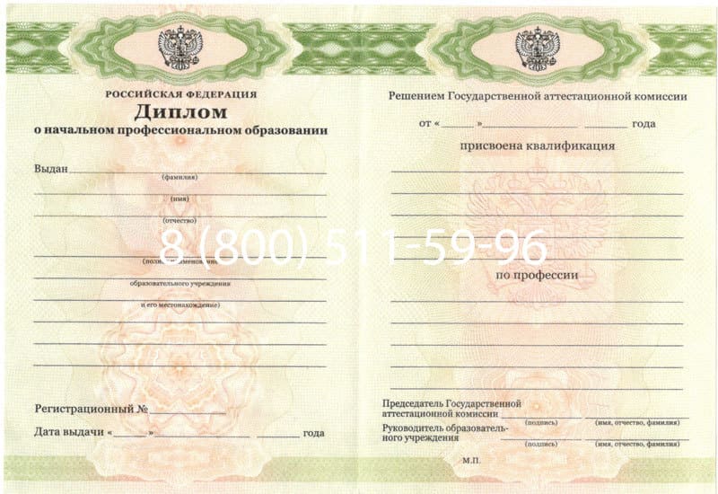 Купить Диплом о начальном образовании  2010-2026 годов в Новосибирске