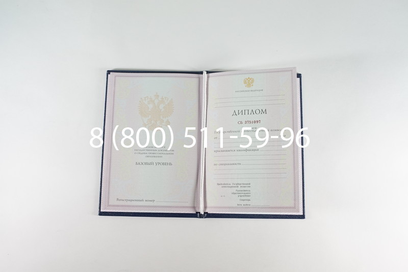 Диплом о среднем образовании 2003-2006 годов в Новосибирске