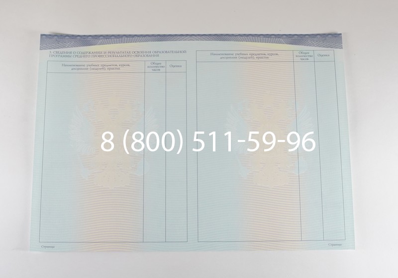 Диплом о среднем образовании (Спецбланк) 2014-2026 года в Новосибирске