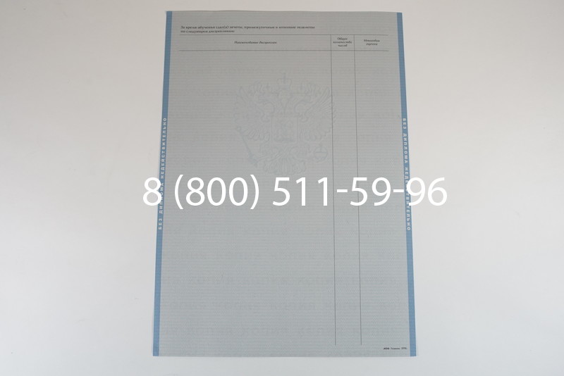 Диплом о высшем образовании 2003-2009 годов в Новосибирске